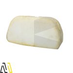 زیرسری صندلی اداری مدیریت